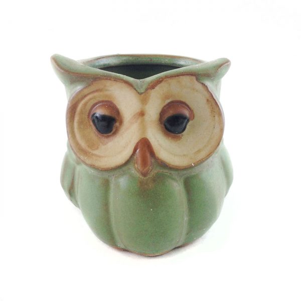 Critter Owl C00011