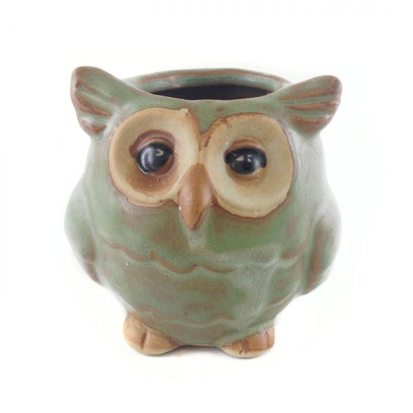 Critter Owl C00012