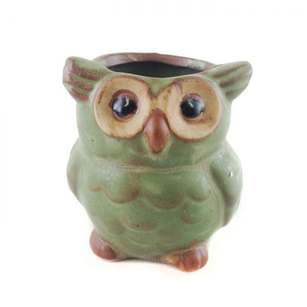 Critter Owl C00013