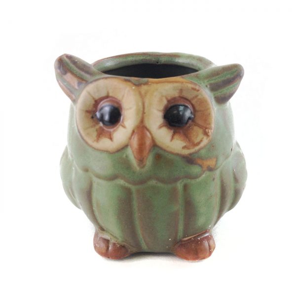 Critter Owl C00014