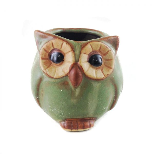 Critter Owl C00010