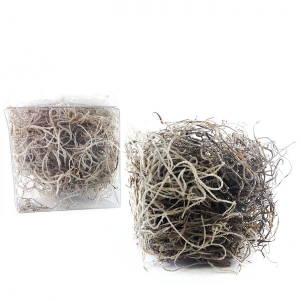 DIY SPANISH MOSS