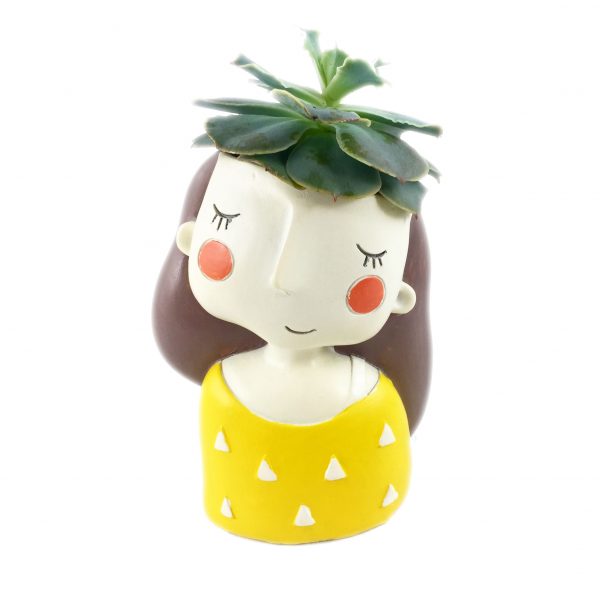 Whim Thoughtful 002