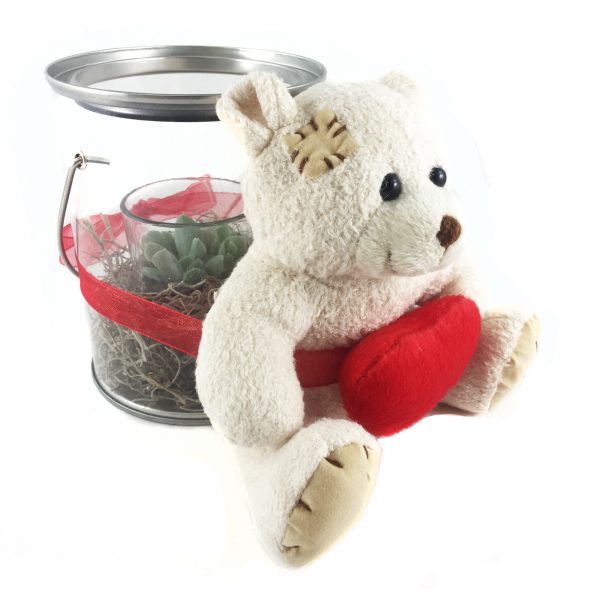 Terrarium Bear