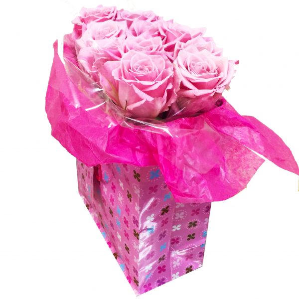 AMOR: LOVE IN A BAG