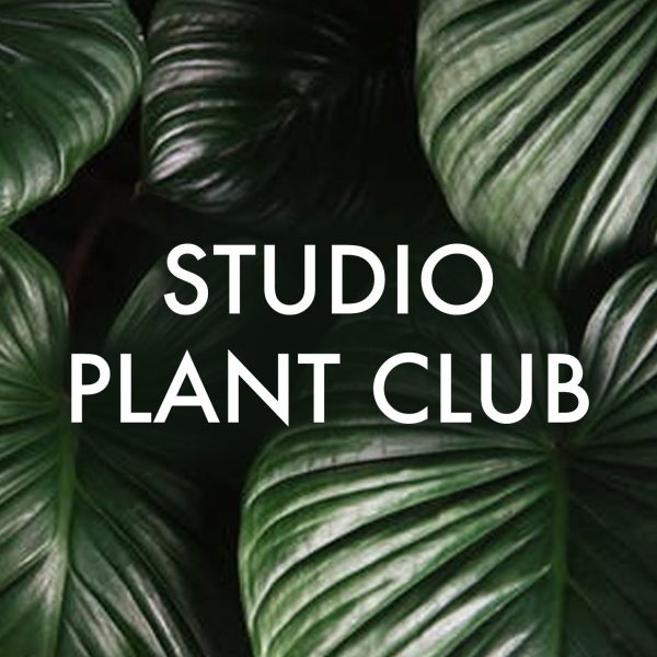 STUDIO PLANT CLUB
