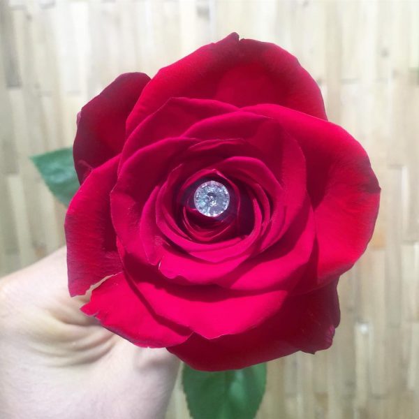 Amor: Red Roses on the Go - Image 2