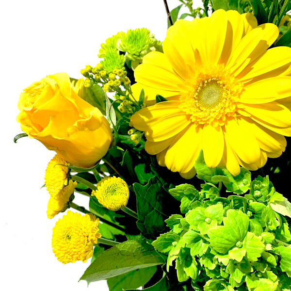 Rising Sunshine - Image 3