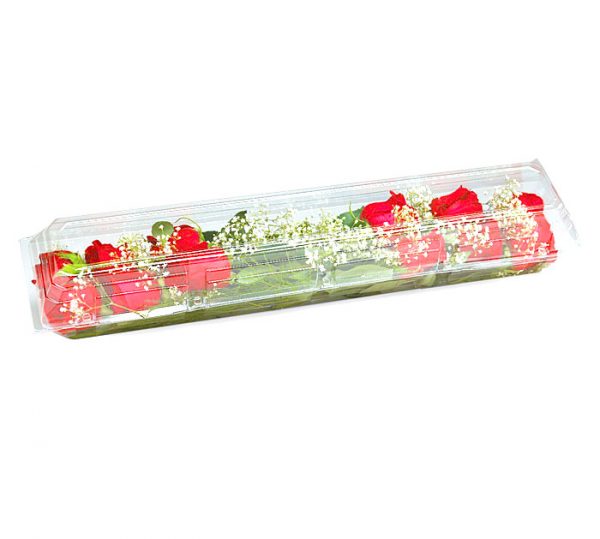 Amor: Red Roses on the Go