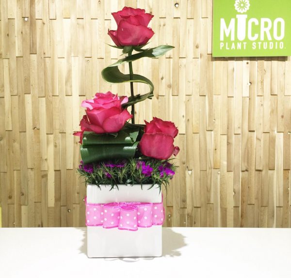 Curvy Pink Roses