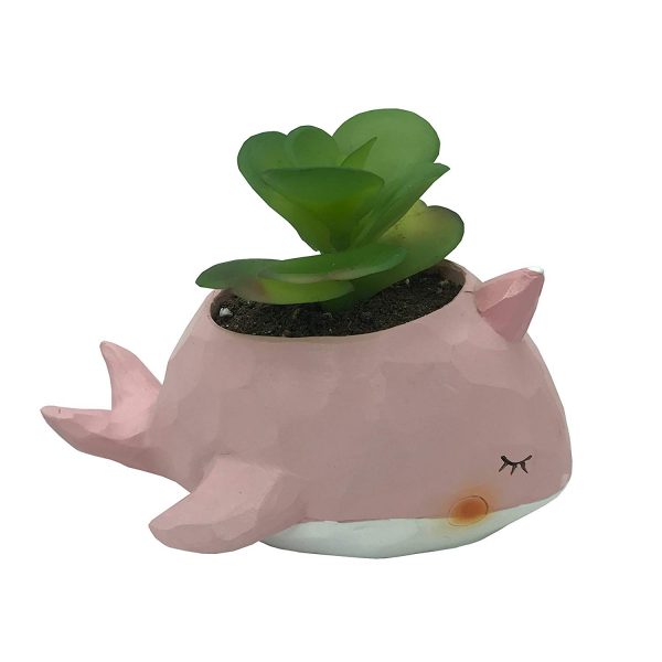 Whale Pink - W