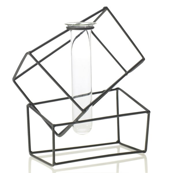 Stem: Structure Stand
