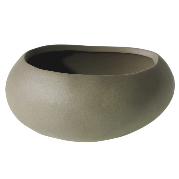 Dino Bowl