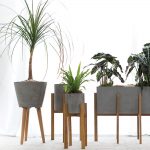 Berlin Collection - Image 4
