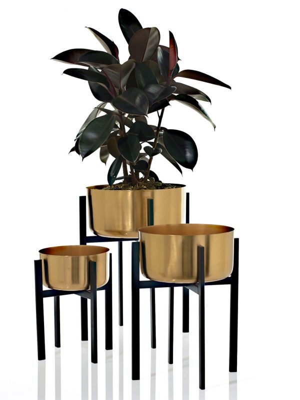 Dash Plant Stands - Image 3