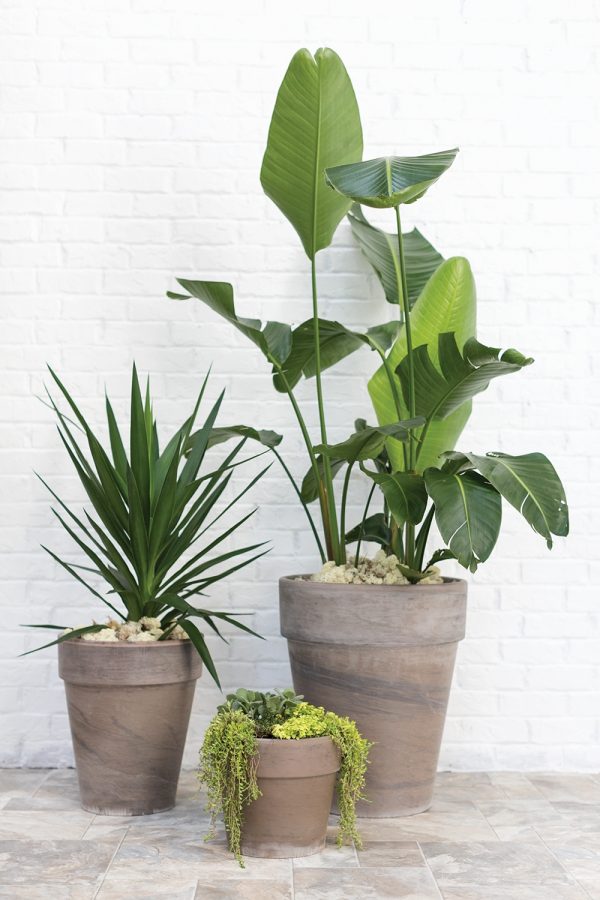Porter Planter - Image 2