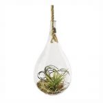 Teardrop Shape Glass - Large - Image 2