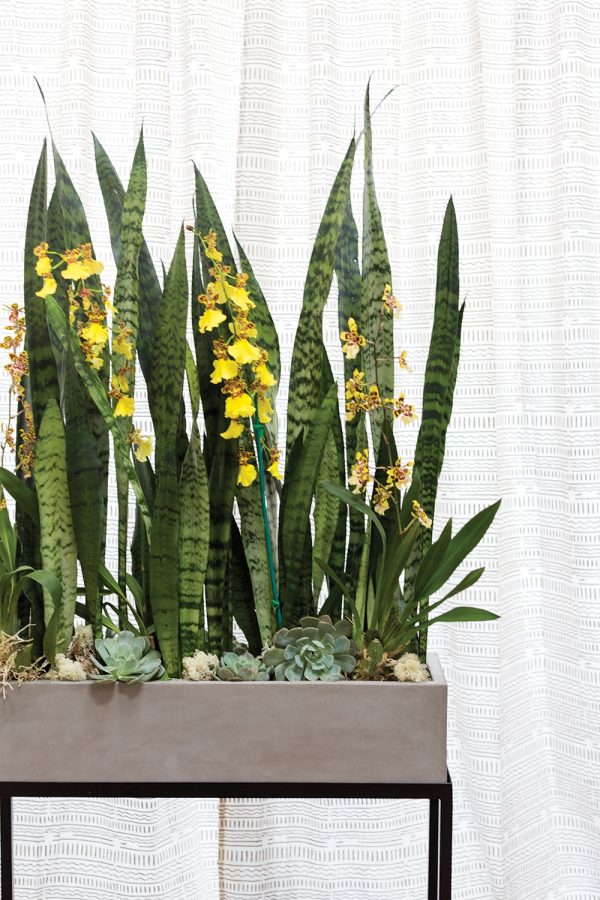 Herbal Planter - Image 2
