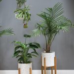 Dale Plant Stand - Image 2