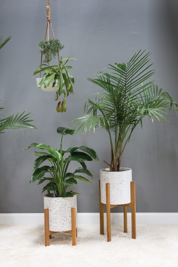 Dale Plant Stand - Image 2