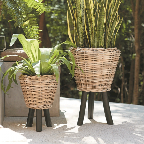 Rumba Basket - Image 2