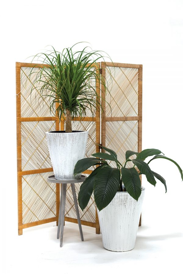 Camy Planter - Image 2