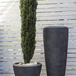 Herrara Collection - Image 2