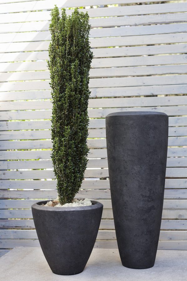 Herrara Collection - Image 2