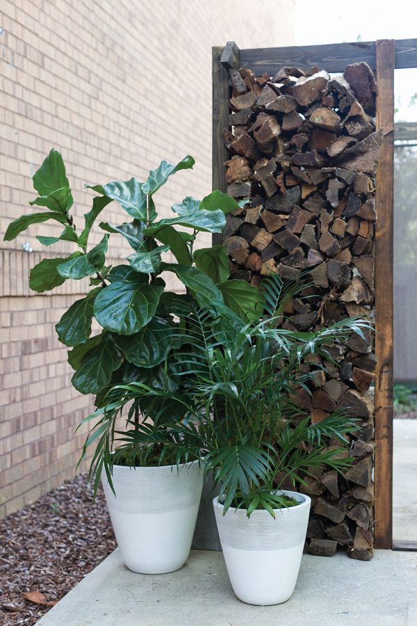 Lifestyle Planter - Image 2