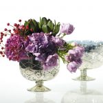 Indi Compote - Image 2