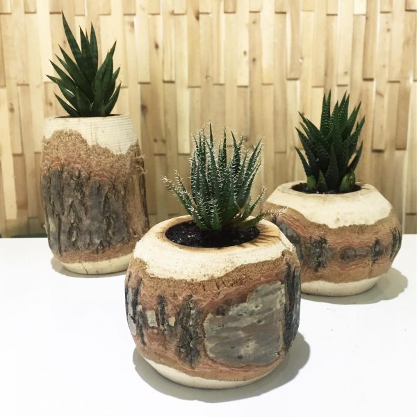 Barewood Holders - Image 2