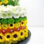 Garden - Image 3