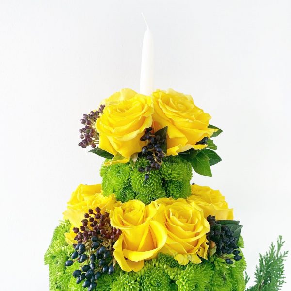 Sunshine - Image 5
