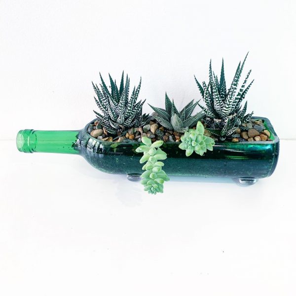Wine Bottle Terrarium - Image 2