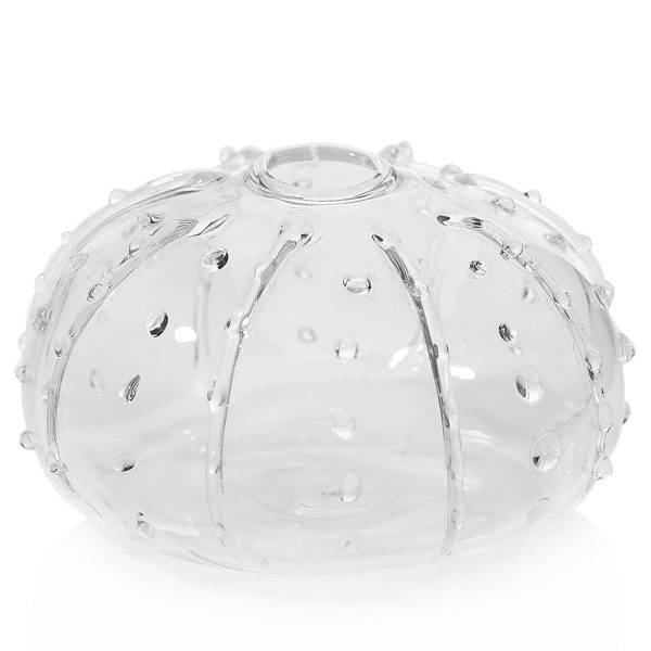 Urchin with Air Plant - Image 2