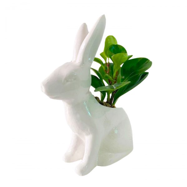 Garder Bunny Pot