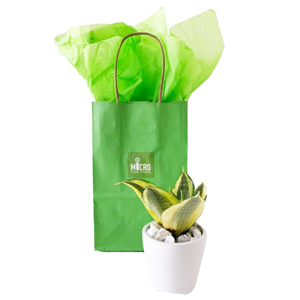 Buy To Give