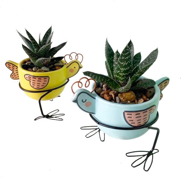 BIRDY POT