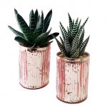 Romance Pot with Succulent - Image 2