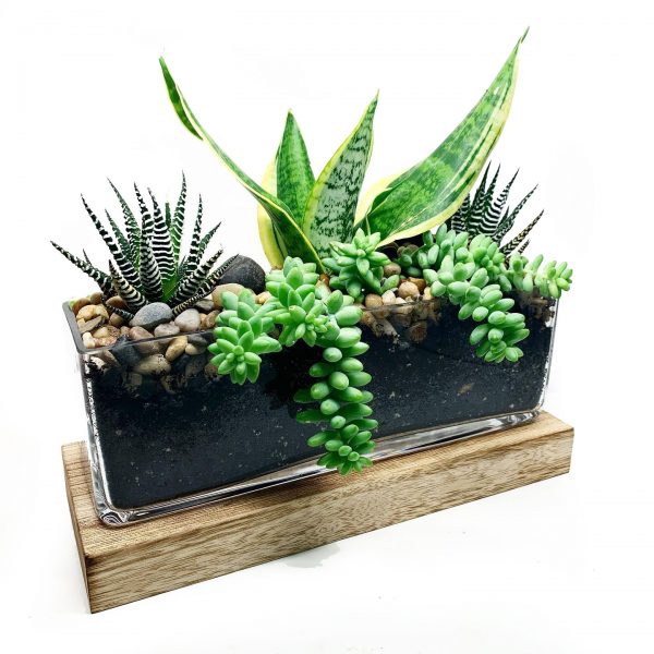 Element Trough - Image 3