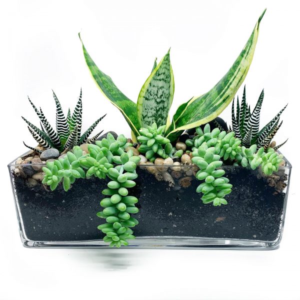 Element Trough - Image 2