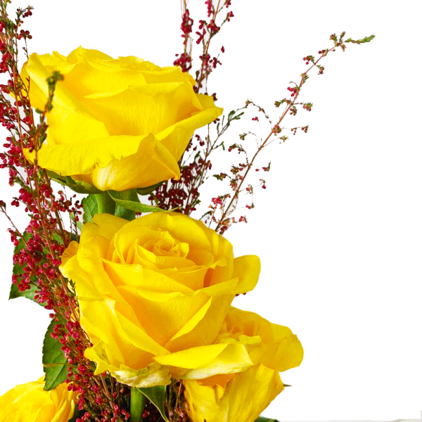 Rising Yellow Roses - Image 3