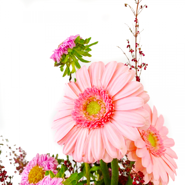 Little Daisies - Image 2
