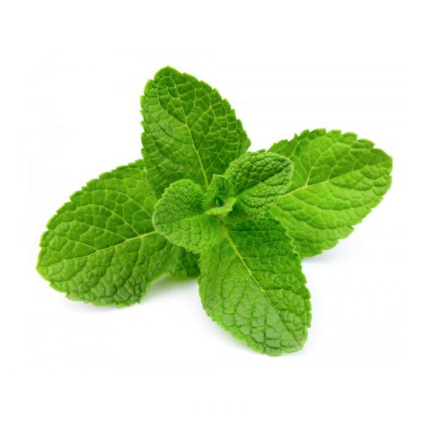 Peppermint - Image 2