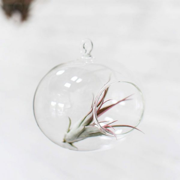 ORB HANGING VASE - Image 2