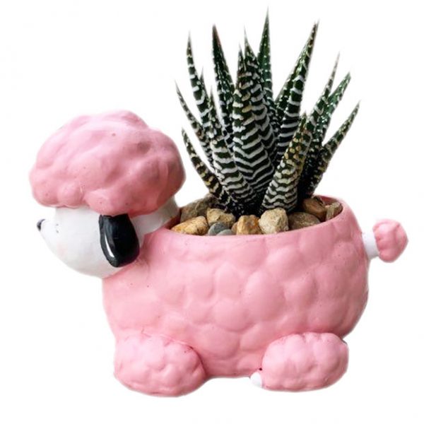 Pink Poodle - Image 2