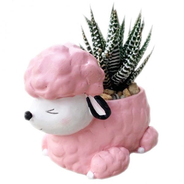 Pink Poodle
