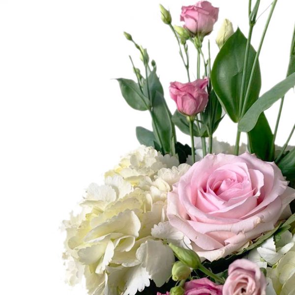 Crowning Hydrangeas - Image 2