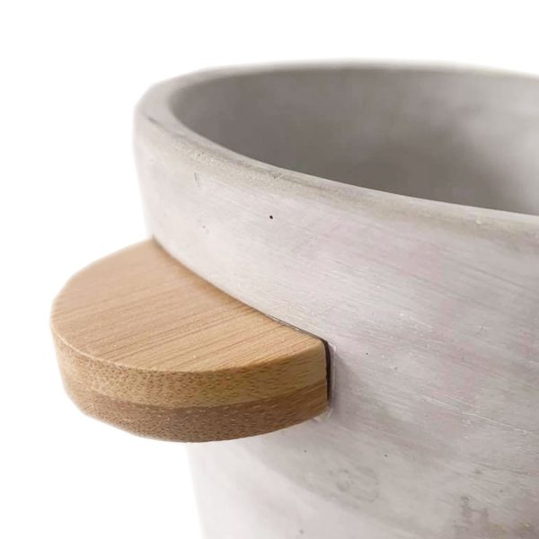 Newport with Wood - Image 3