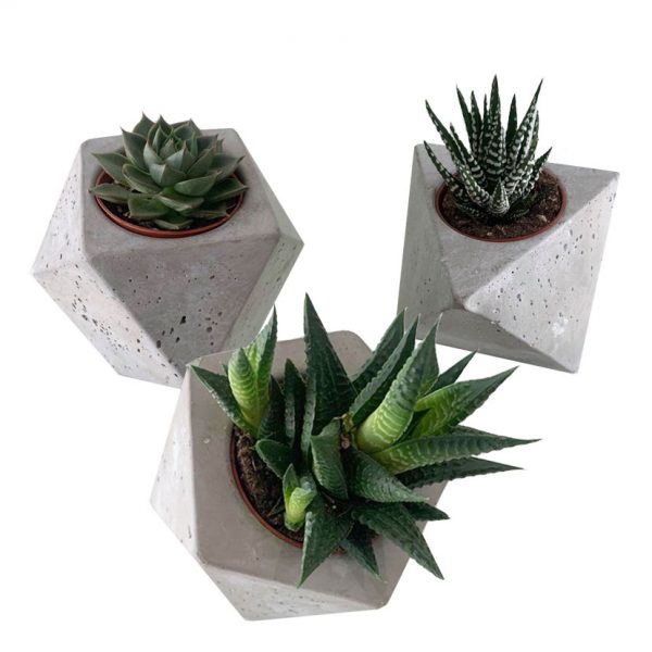 GEODESIC SHAPE POT